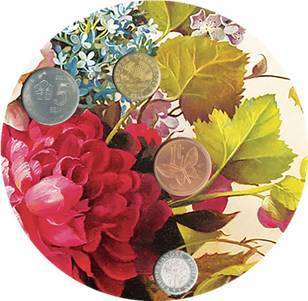 2018鑫产品 富贵花开，财源滚滚的水果盛宴