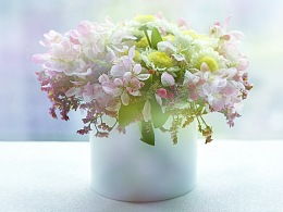 随影舞动 ZCOOL设计师的花卉艺术探索