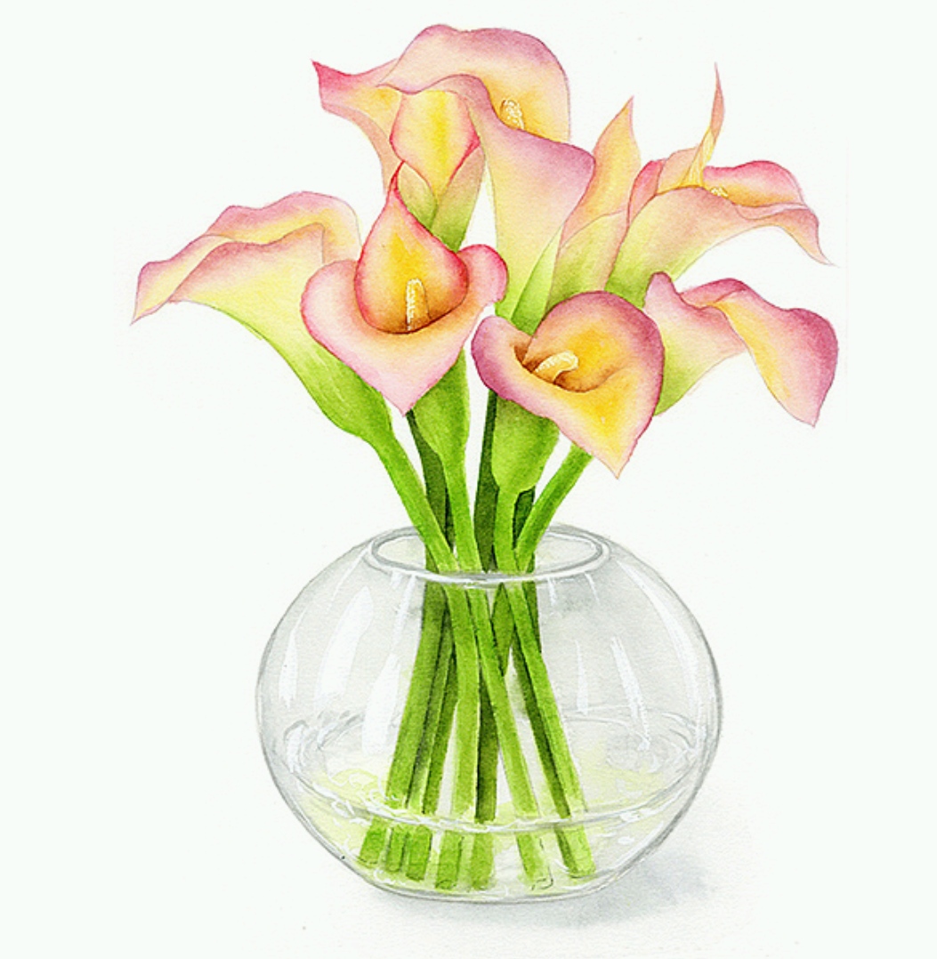 董搞搞水彩作品 马蹄莲与水果的清新对话