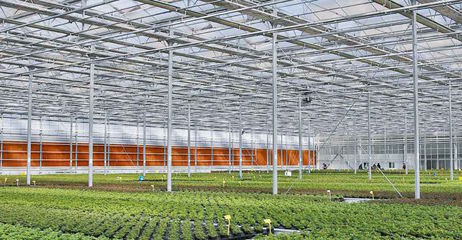 养花这件小事儿背后的「大逻辑」