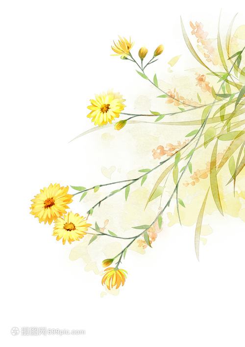 雏菊水彩与水果 清新艺术中的自然交融